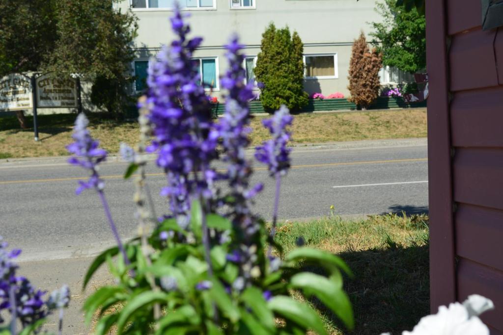 Queensway Court Motel Prince George Exterior foto